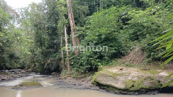 image THE SECRET RIVER GARDEN: LAHAN FLAT TEPI SUNGAI DI PENEBEL – HANYA RP 1 JUTA/ARE! (6)