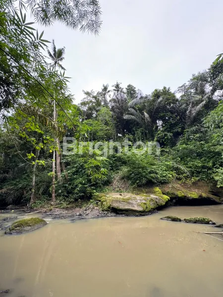 image THE SECRET RIVER GARDEN: LAHAN FLAT TEPI SUNGAI DI PENEBEL – HANYA RP 1 JUTA/ARE! (7)