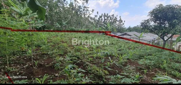 image TANAH CIMANGGUNG SUMEDANG (4)