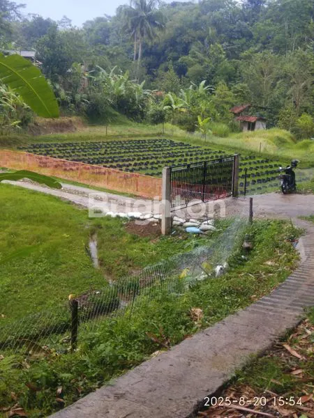 image HIDDEN GEM! TANAH 3825M² DENGAN VILLA KAYU DI CIJERUK BOGOR (3)