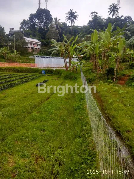 image HIDDEN GEM! TANAH 3825M² DENGAN VILLA KAYU DI CIJERUK BOGOR (4)