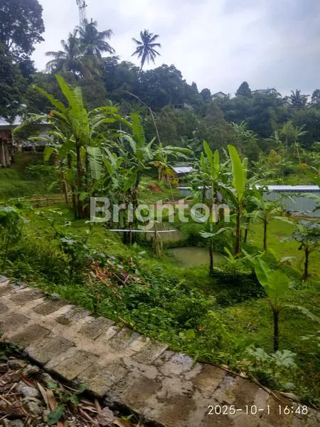 image HIDDEN GEM! TANAH 3825M² DENGAN VILLA KAYU DI CIJERUK BOGOR (5)