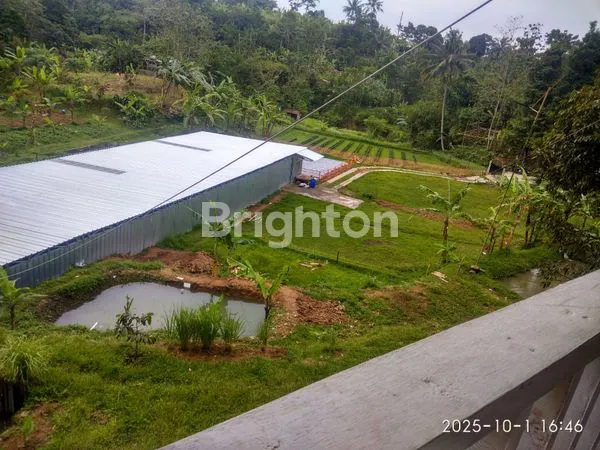 image HIDDEN GEM! TANAH 3825M² DENGAN VILLA KAYU DI CIJERUK BOGOR (6)