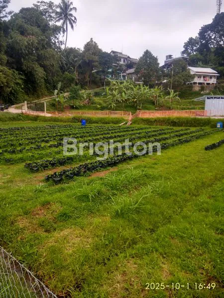 image HIDDEN GEM! TANAH 3825M² DENGAN VILLA KAYU DI CIJERUK BOGOR (1)