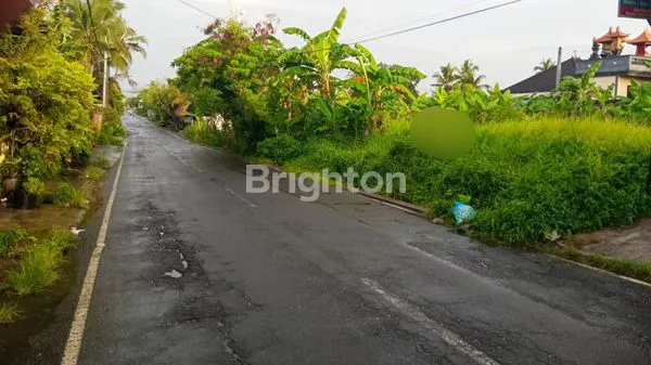 image LEASEHOLD 10 TAHUN TANAH ABIANSEMAL (2)