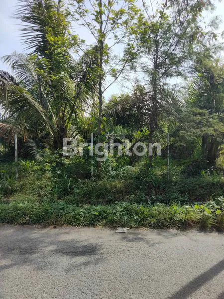 image INVESTASI TANAH 816M² DI BINJAI, DEKAT PERUMAHAN & SEKOLAH (3)