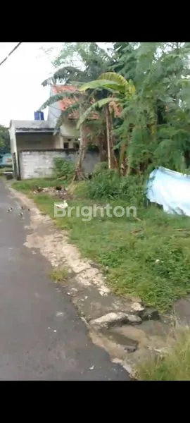 image DESA KALIMULYA, CILODONG (1)