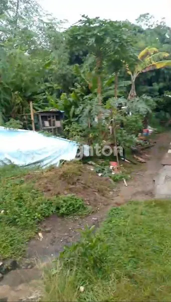 image DESA KALIMULYA, CILODONG (2)