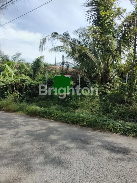 image INVESTASI TANAH 816M² DI BINJAI, DEKAT PERUMAHAN & SEKOLAH (1)