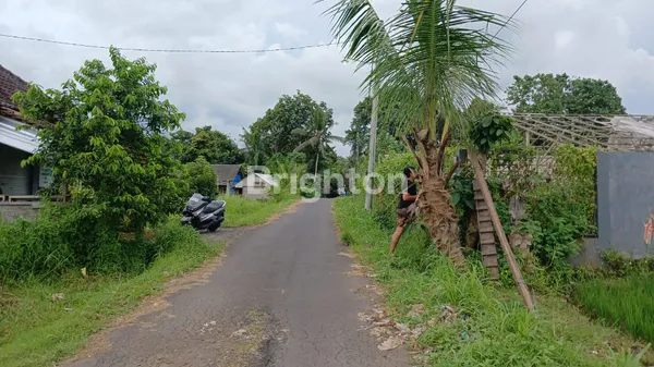 image PELUANG INVESTASI ECO-LIVING: LAHAN STRATEGIS DENGAN INFRASTRUKTUR LENGKAP DI PENEBEL! (2)