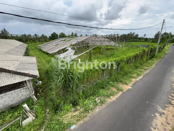 image PELUANG INVESTASI ECO-LIVING: LAHAN STRATEGIS DENGAN INFRASTRUKTUR LENGKAP DI PENEBEL! (3)