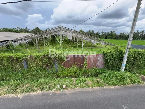 image PELUANG INVESTASI ECO-LIVING: LAHAN STRATEGIS DENGAN INFRASTRUKTUR LENGKAP DI PENEBEL! (4)