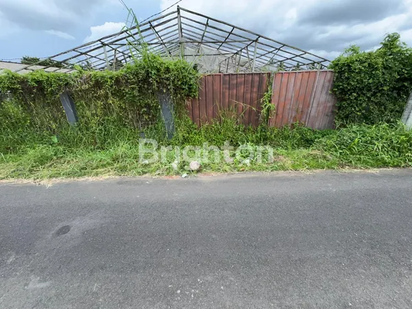 image PELUANG INVESTASI ECO-LIVING: LAHAN STRATEGIS DENGAN INFRASTRUKTUR LENGKAP DI PENEBEL! (5)