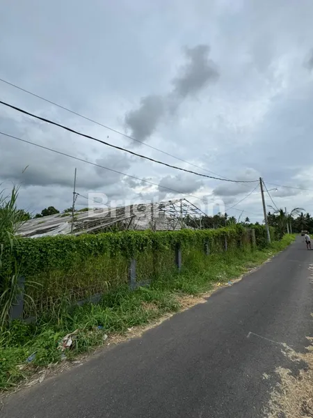 image PELUANG INVESTASI ECO-LIVING: LAHAN STRATEGIS DENGAN INFRASTRUKTUR LENGKAP DI PENEBEL! (6)