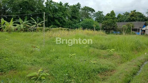 image THE MORNING SANCTUARY: LAHAN LUAS 20 ARE DI RIANGGEDE, PENEBEL – SEMPURNA UNTUK ECO-LIVING & AGROWISATA (2)