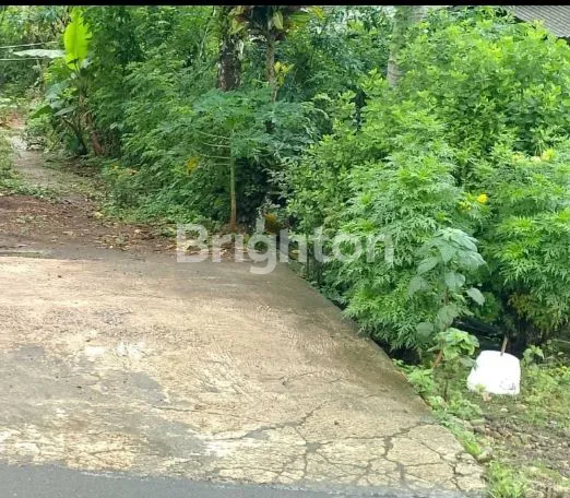 image TANAH LUAS 480M² DI DONOMULYO MALANG, COCOK RUMAH/TOKO (1)