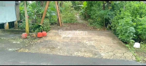 image TANAH LUAS 480M² DI DONOMULYO MALANG, COCOK RUMAH/TOKO (2)