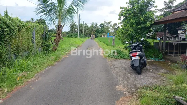 image THE MORNING SANCTUARY: LAHAN LUAS 20 ARE DI RIANGGEDE, PENEBEL – SEMPURNA UNTUK ECO-LIVING & AGROWISATA (4)