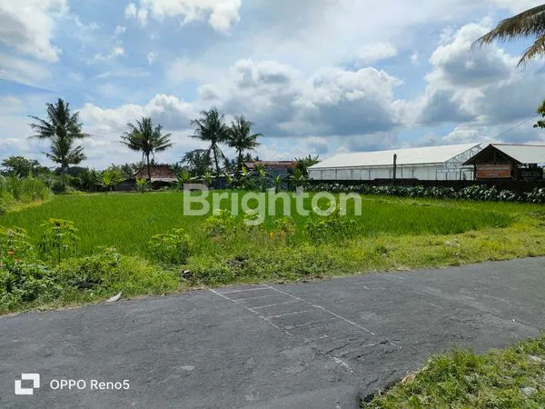 image TANAH DIJUAL LOKASI STRATEGIS DI WIDODOMARTANI, NGEMPLAK, SLEMAN, YOGYAKARTA (3)