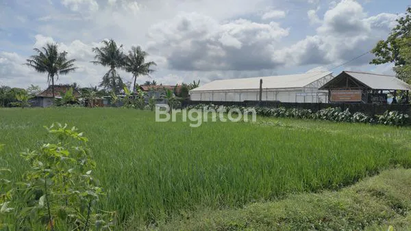 image TANAH DIJUAL LOKASI STRATEGIS DI WIDODOMARTANI, NGEMPLAK, SLEMAN, YOGYAKARTA (4)