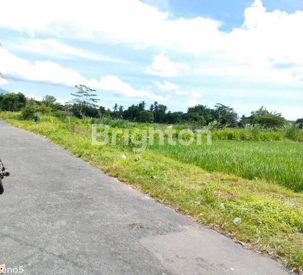 image TANAH DIJUAL LOKASI STRATEGIS DI WIDODOMARTANI, NGEMPLAK, SLEMAN, YOGYAKARTA (2)