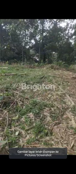 image SEWA TANAH PINGGIR JALAN 800M², COCOK UNTUK USAHA (2)