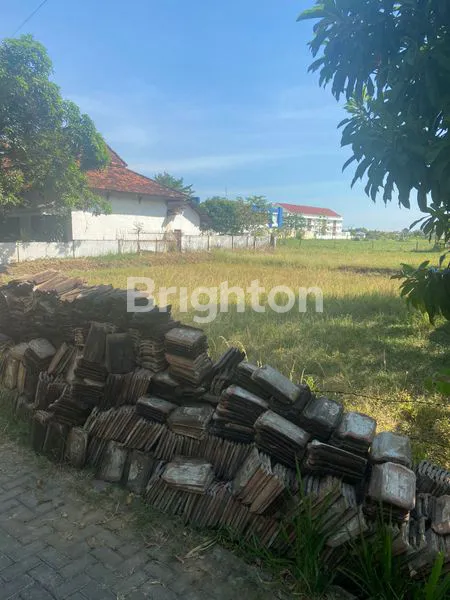 image RUMAH LUAS SIAP HUNI, SHM, DI SUMENEP MADURA (6)