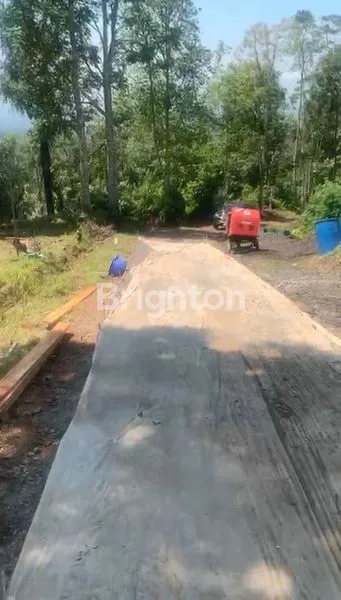 image TANAH KAVLING DURIAN MUSANGKING , TABANAN , BALI (4)