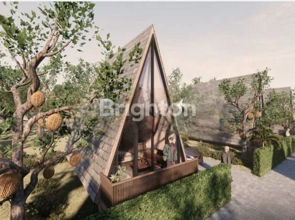 image TANAH KAVLING DURIAN MUSANGKING , TABANAN , BALI (5)