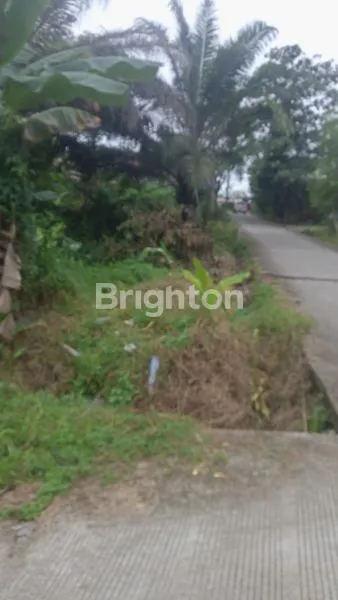 image KAPLINGAN HOK DIJALAN SANGGA BUANA KM5 (5)