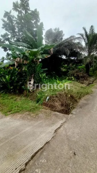image KAPLINGAN HOK DIJALAN SANGGA BUANA KM5 (4)