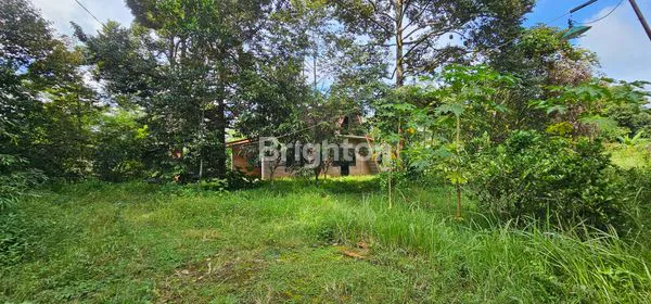 image TANAH SHM 8347M², ASRI DENGAN POHON DURIAN, GUNUNG PATI (3)