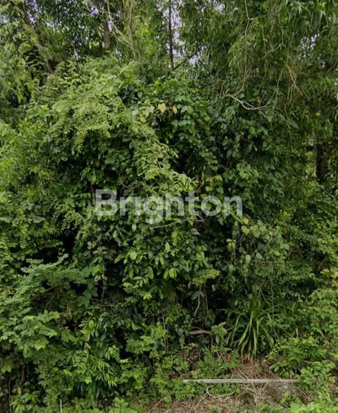 image TANAH DIJUAL DI NUSA DUA (2)