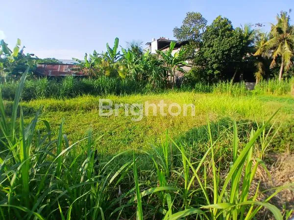 image 98 ARE TANAH PINGGIR JALAN UTAMA SIAP DIKAVLING DEKAT PUSAT KOTA GIANYAR (2)