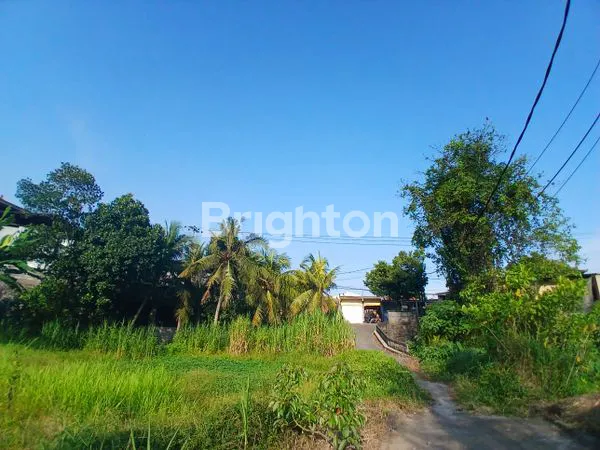 image 98 ARE TANAH PINGGIR JALAN UTAMA SIAP DIKAVLING DEKAT PUSAT KOTA GIANYAR (3)