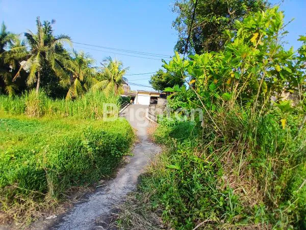image 98 ARE TANAH PINGGIR JALAN UTAMA SIAP DIKAVLING DEKAT PUSAT KOTA GIANYAR (7)