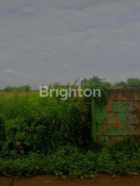 image TANAH DI JUAL GEMBONG BALARAJA TANGERANG (7)