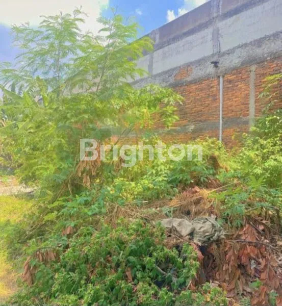 image RUMAH TOKO DENGAN LAHAN LUAS (2)