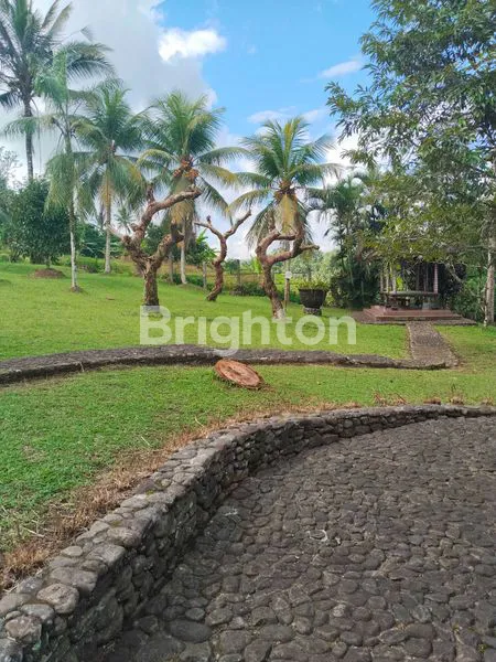 image TANAH BONUS VILLA TERAWAT DI BATUKARU (4)