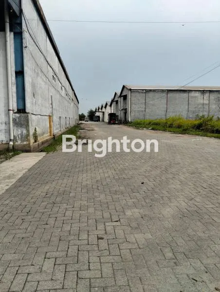 image GUDANG INTAN JALAN LETDA SUJONO (8)