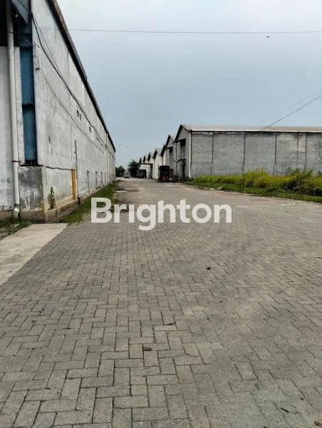 image GUDANG INTAN JALAN LETDA SUJONO SIAP PAKAI (7)