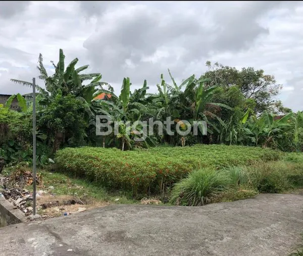 image DISEWAKAN TANAH PREMIUM 2 ARE SIAP BANGUN LOKASI PINGGIR JALAN UTAMA (1)