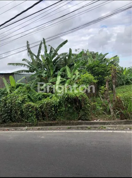 image DISEWAKAN TANAH PREMIUM 2 ARE SIAP BANGUN LOKASI PINGGIR JALAN UTAMA (5)