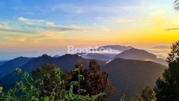 image PREMIUM LAND INVESTMENT PENEBAL TABANAN (3)