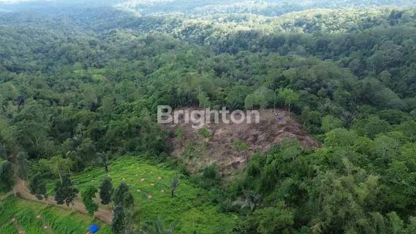 image PREMIUM LAND INVESTMENT PENEBAL TABANAN (5)