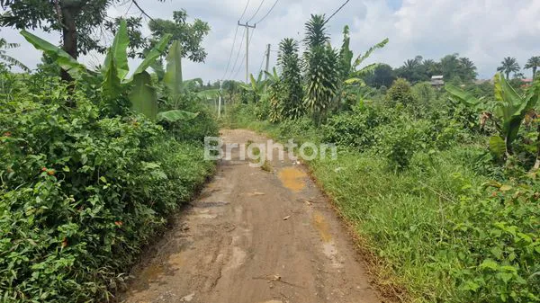 image LAHAN LUAS 1,8 HEKTAR, COCOK INVESTASI (1)