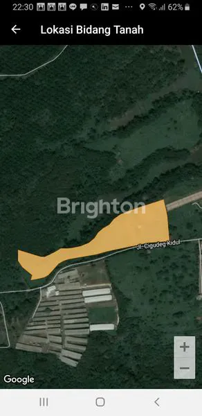 image INVESTASI MASA DEPAN: KEBUN DURIAN & ALPUKAT DI NANGGUNG (5)