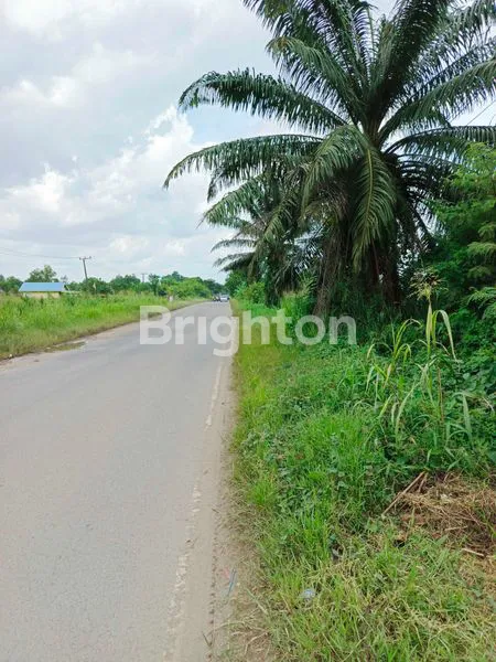 image TANAH PADAT SUDAH NIMBUN AREA JAKABARING DEKAT RS BUNDA JAKABARING (1)