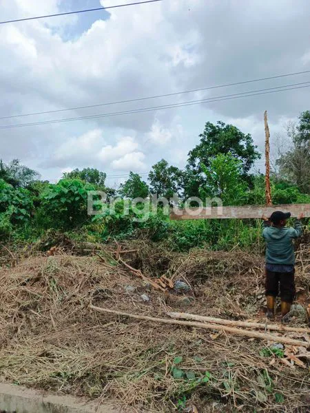 image TANAH PADAT SUDAH NIMBUN AREA JAKABARING DEKAT RS BUNDA JAKABARING (4)
