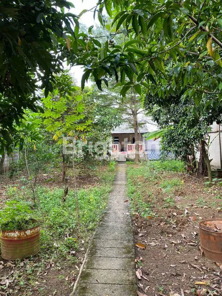 image DI JUAL GUDANG AREA DRAMAGA (5)